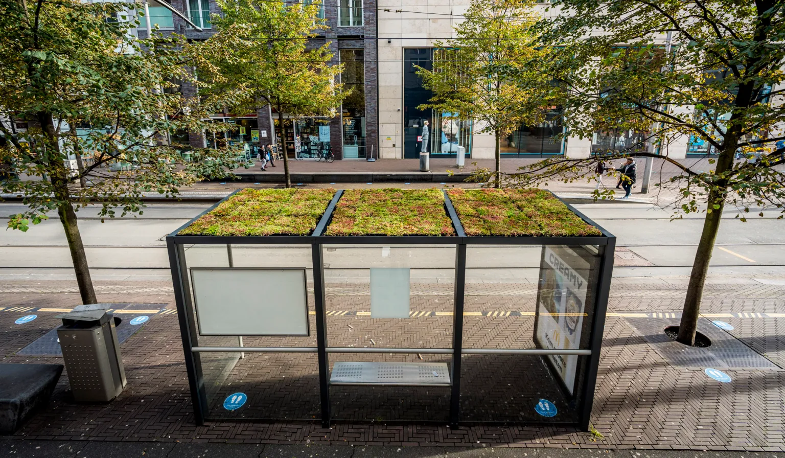 Groen bushokje voorzien van Sedumdak bij het Gemeentehuis Den Haag